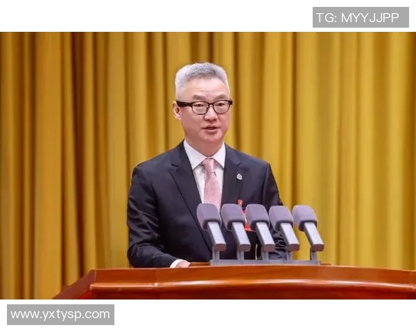 深圳羽毛球队运营模式创新探索助力体育发展新篇章